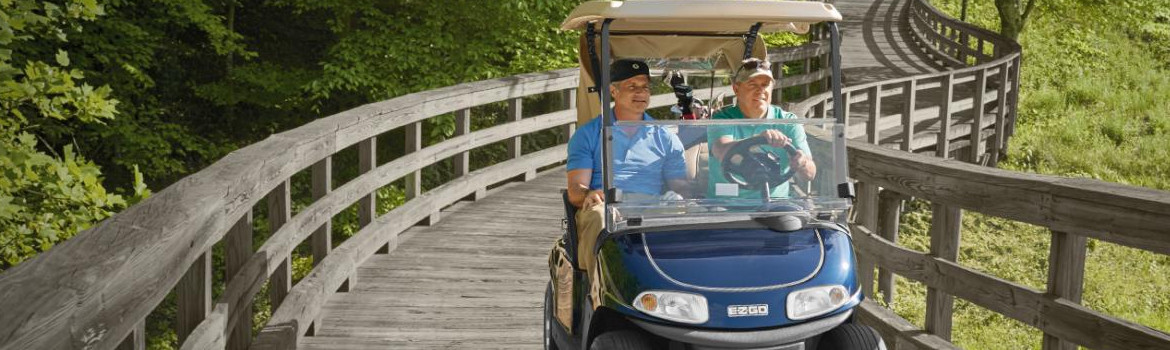 2018 E-z-go Freedom RXV  for sale in Roanoke Golf Cars, Roanoke, Virginia 